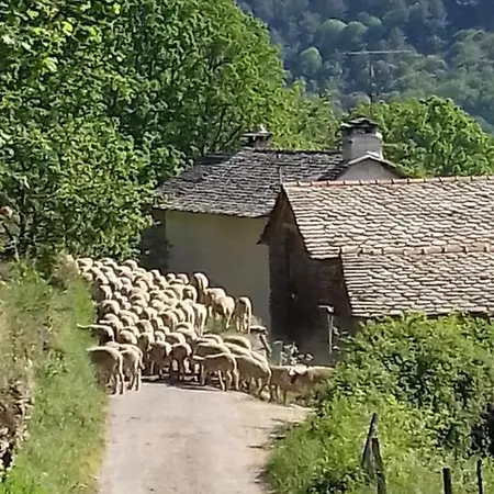 Le Du Comte 2/3 Personnes Сasa de vacaciones Saint-Germain-de-Calberte